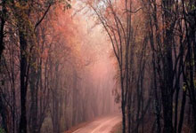 2025年01月11日球会友谊奈德弗vsETSV汉堡历史战绩，交战记录，比分预测.