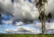 又来反转？ 德赫亚否认退出国家队：恩里克在骗人.