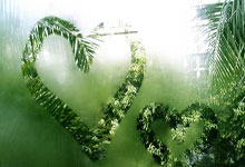 汪嵩回复网友：帮队友发个信息不存在伤害球迷，我才是被伤害的.