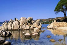 6686官网：记者：海港全新5外援组合仍具备相当实力，申花外援身价低不少.